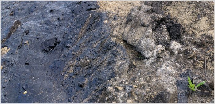 Total Petroleum Hydrocarbons